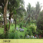 2100-CBI