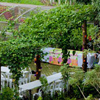 Sunken Garden