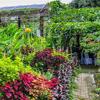 Sunken Garden