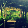 Garden Cafe