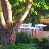 Open Dining Area