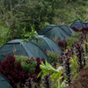Camp Top-side