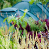 Camp Top-side