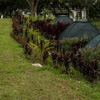 Camp Top-side