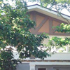 Convention Hall