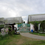 Galilee Farm