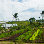 Malipayon Farm